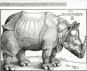 Le Rhinocéros, 1515